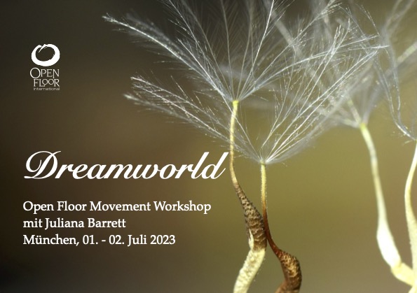 ‚Dreamworld‘ Open Floor Workshop
