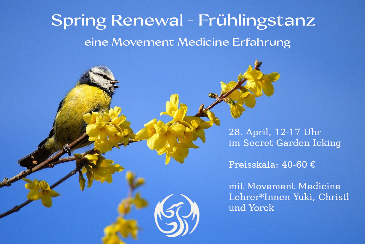 Movement Medicine Workshop mit Christl Riemer-Metzger